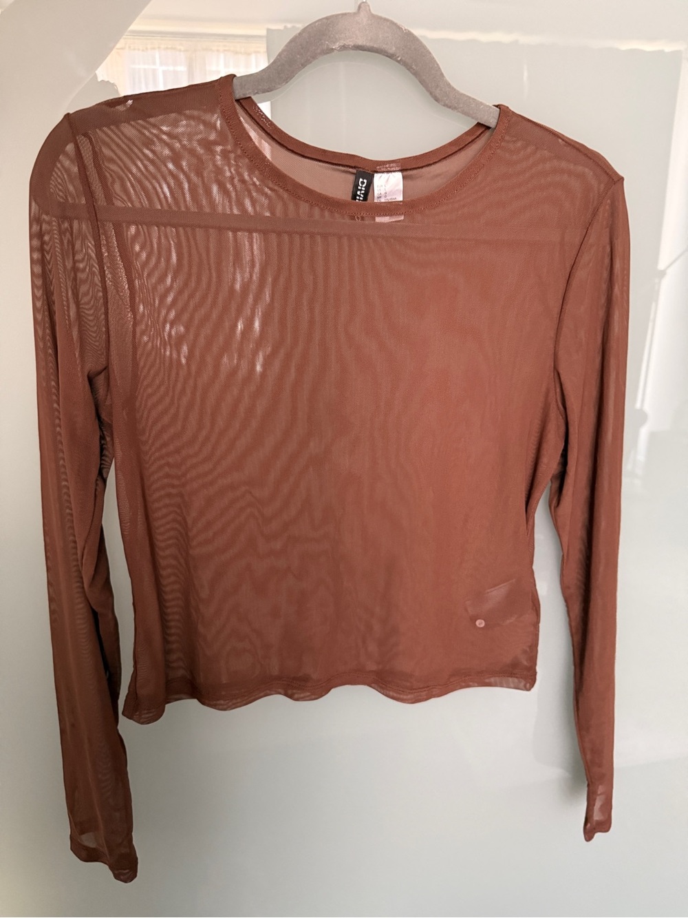 H&M Sheer Long-Sleeve Crop Top - Rust Brown
